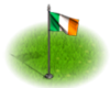 Ырландский флаг.png