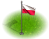 Польский флаг.png