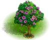 Цветущее дерево.png