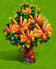 Цитрусовое дерево
