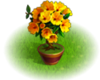 Жёлтый цветок.png