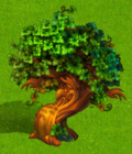 Таинственное дерево